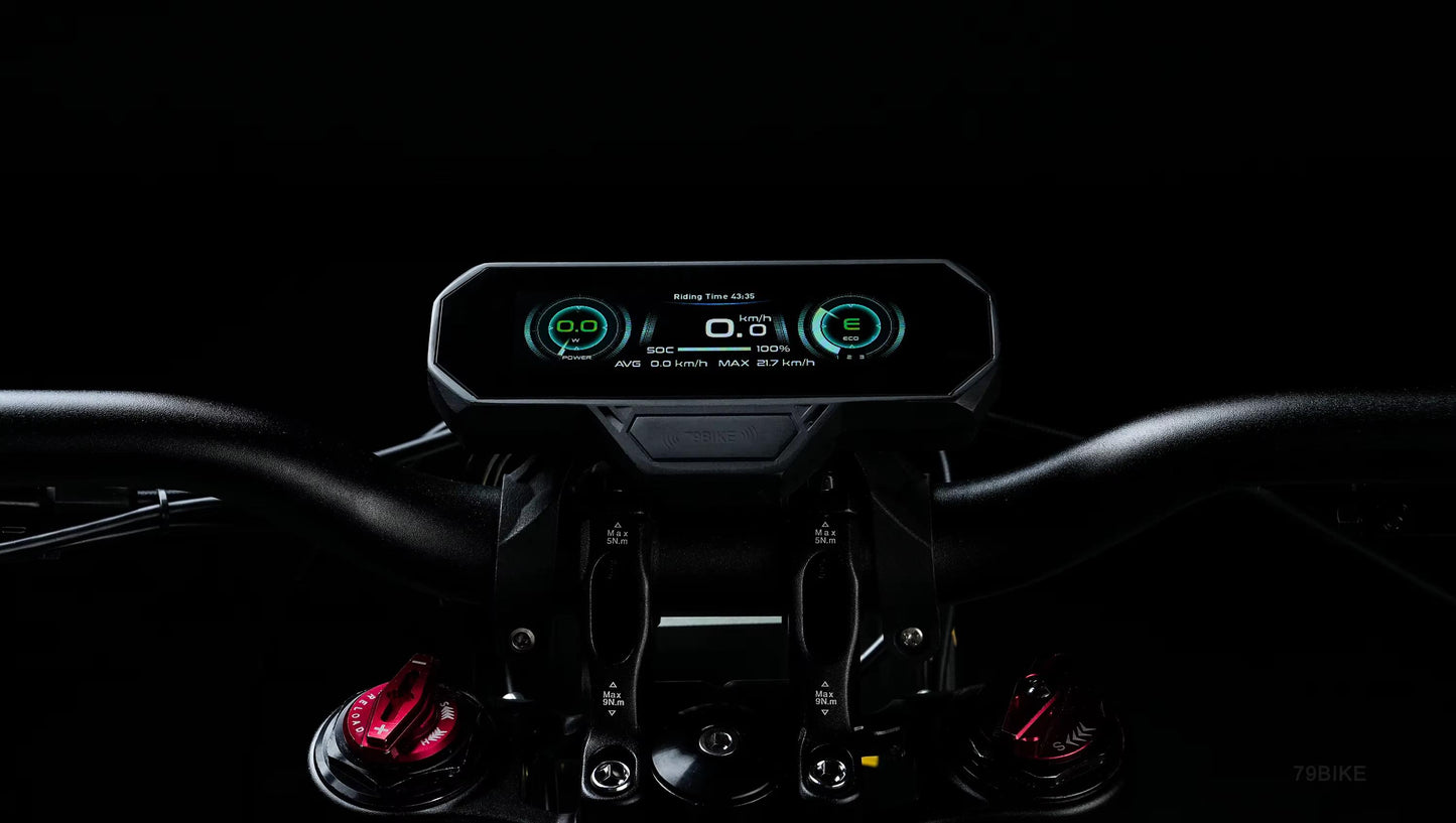 79BIKE - Falcon Pro