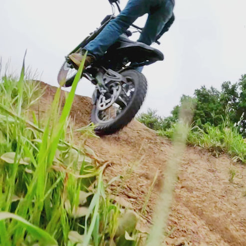 72V Mantis X