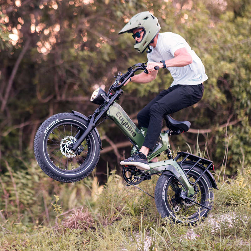 K6 Pro (K6F) Long Range Fat Tire Electric Bike