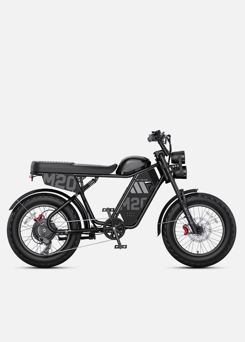 ENGWE M20 3.0