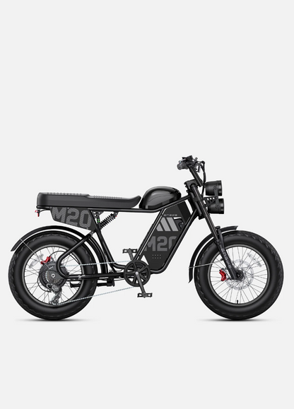 ENGWE M20 3.0