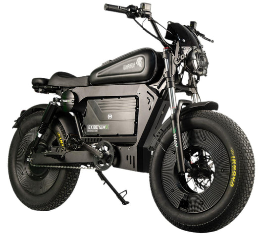 Black Warrior Ultra Bike