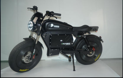 Black Warrior Ultra Bike