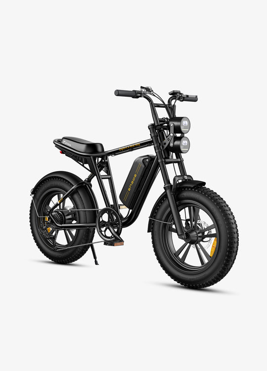 ENGWE M 20