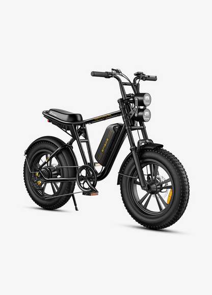 ENGWE M 20