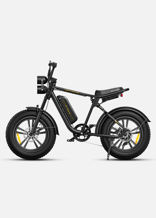 ENGWE M 20