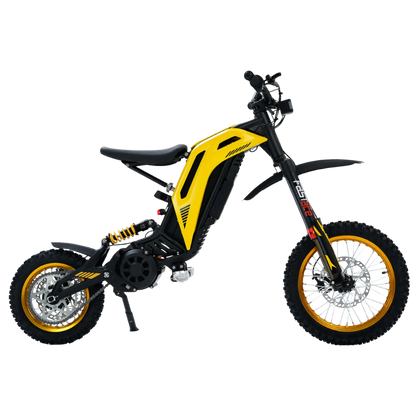 79 Bike Viper S(TITAONE)