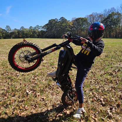 79 Bike Viper S(TITAONE)
