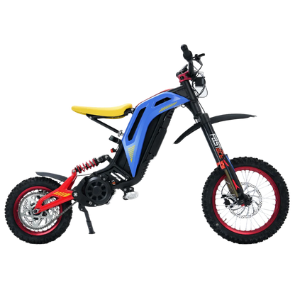 79 Bike Viper S(TITAONE)