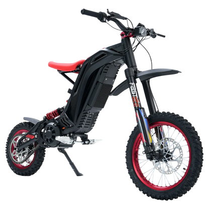 79 Bike Viper S(TITAONE)