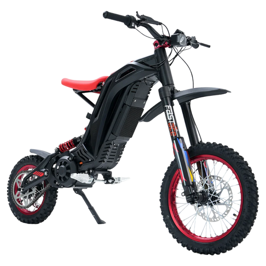 79 Bike Viper S(TITAONE)